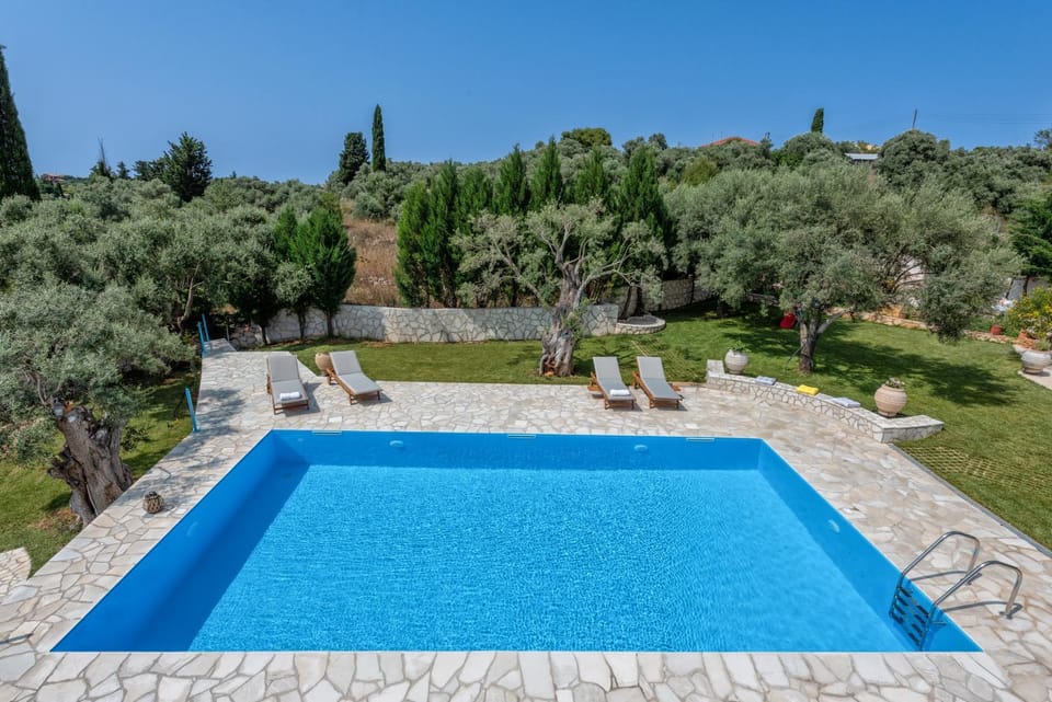 Day, Natural landscape, Garden, Garden view, Pool view, Swimming pool, sunbed