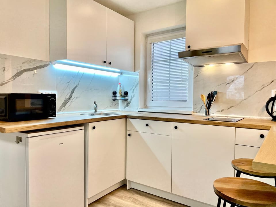 Kitchen or kitchenette, minibar, stove