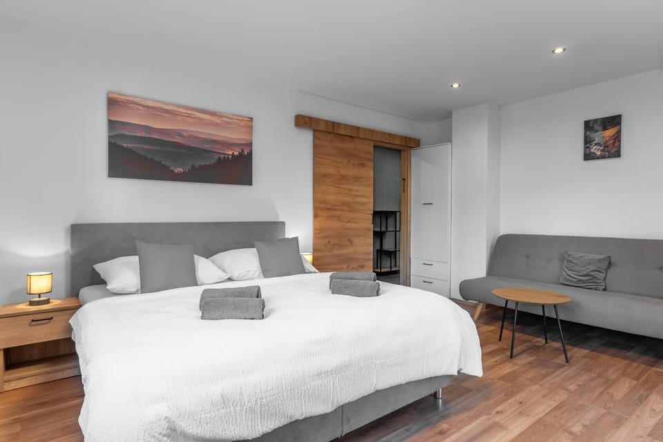 Bed, Living room, Photo of the whole room, Seating area, Bedroom