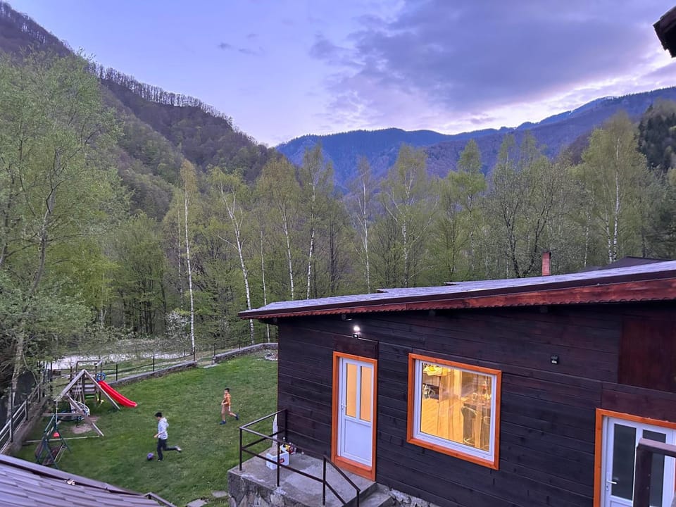 Garden, Mountain view