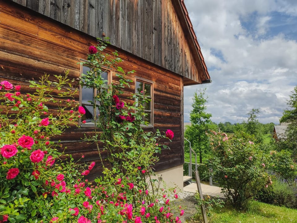 Property building, Garden, Garden view