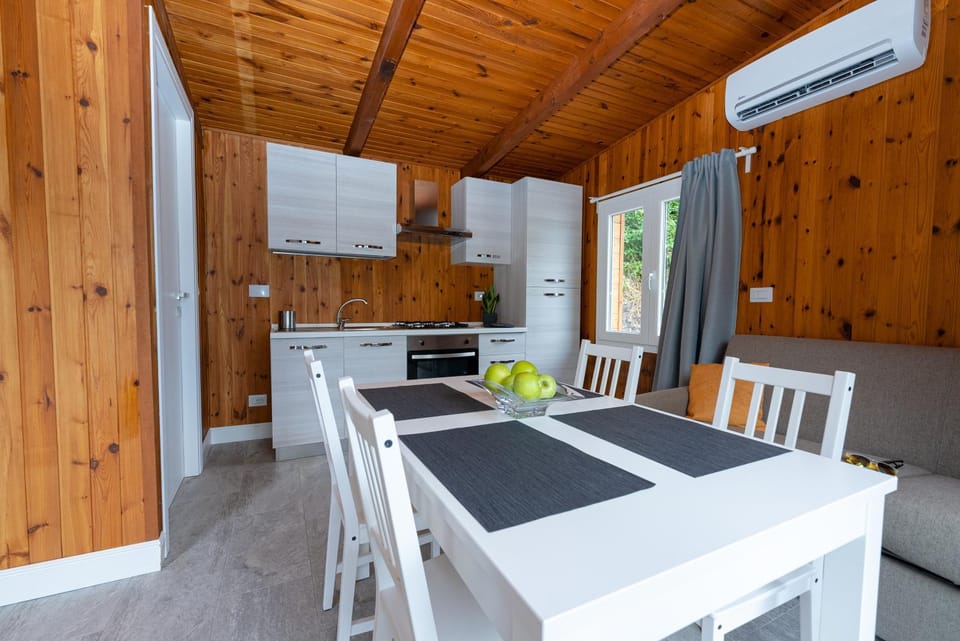 Living room, Dining area, pet friendly, stove, air conditioner