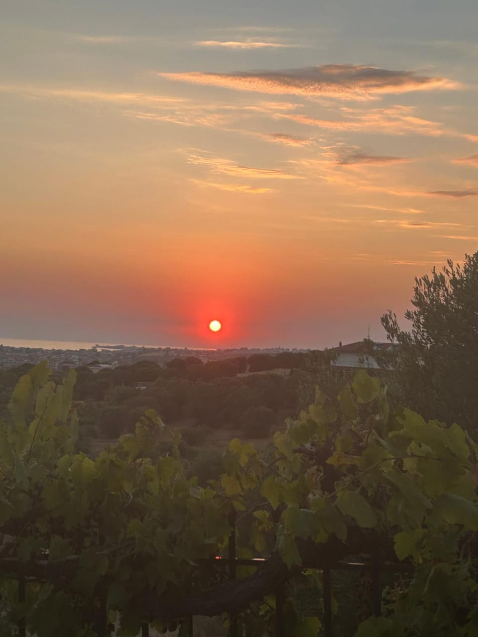 OLIVE&VIEW Apartment in Halkidiki