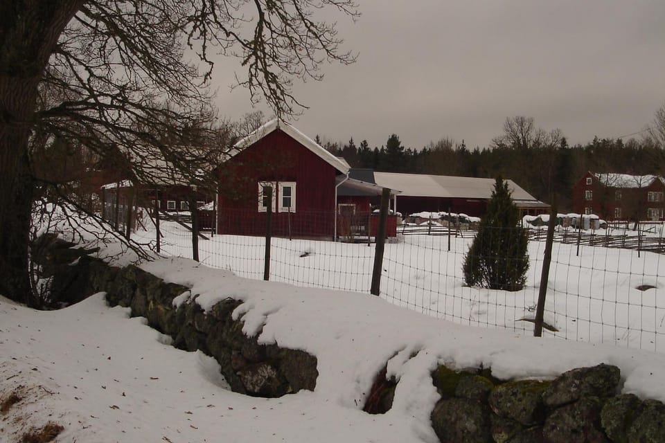 Area and facilities