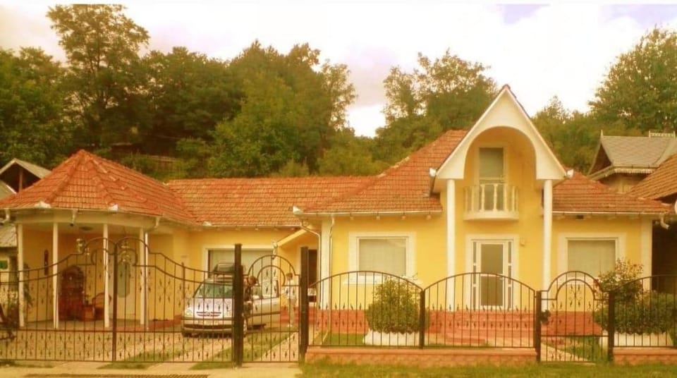 Casa Elisei House in Romania