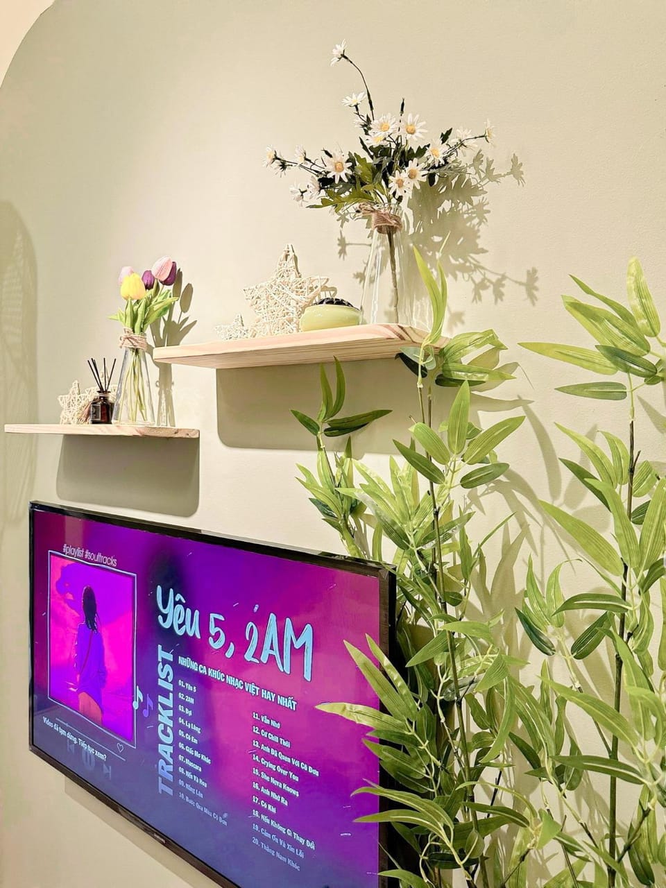 TV and multimedia