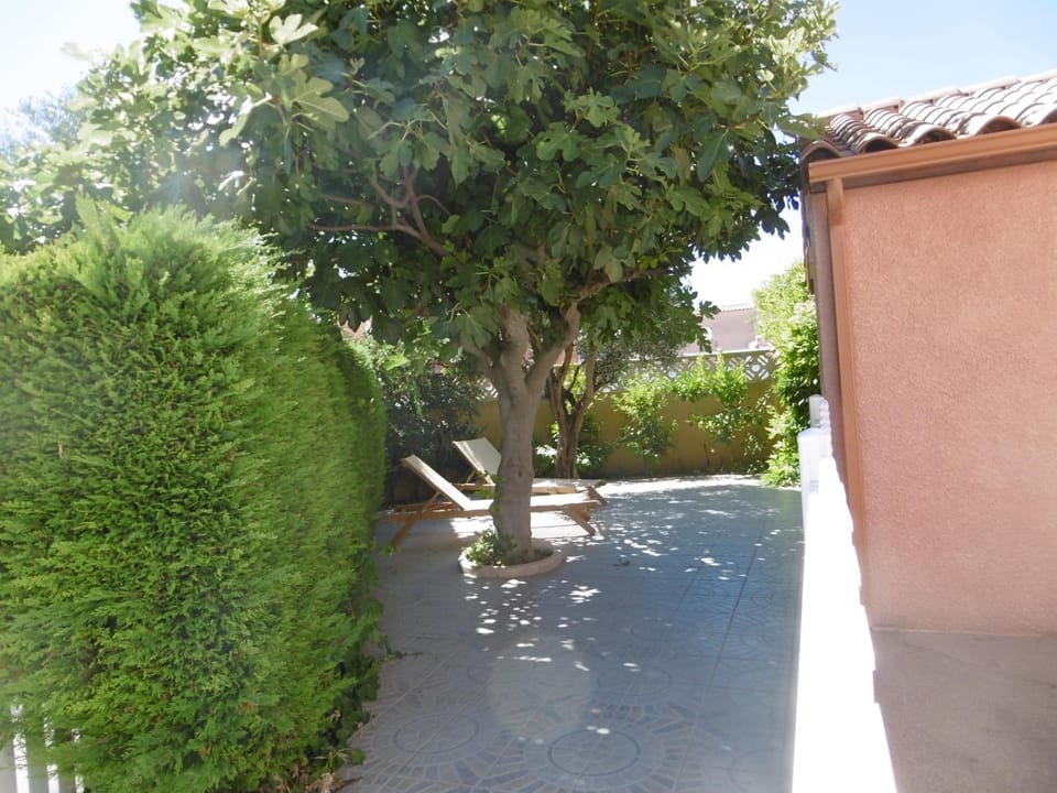 Day, Garden, Garden view