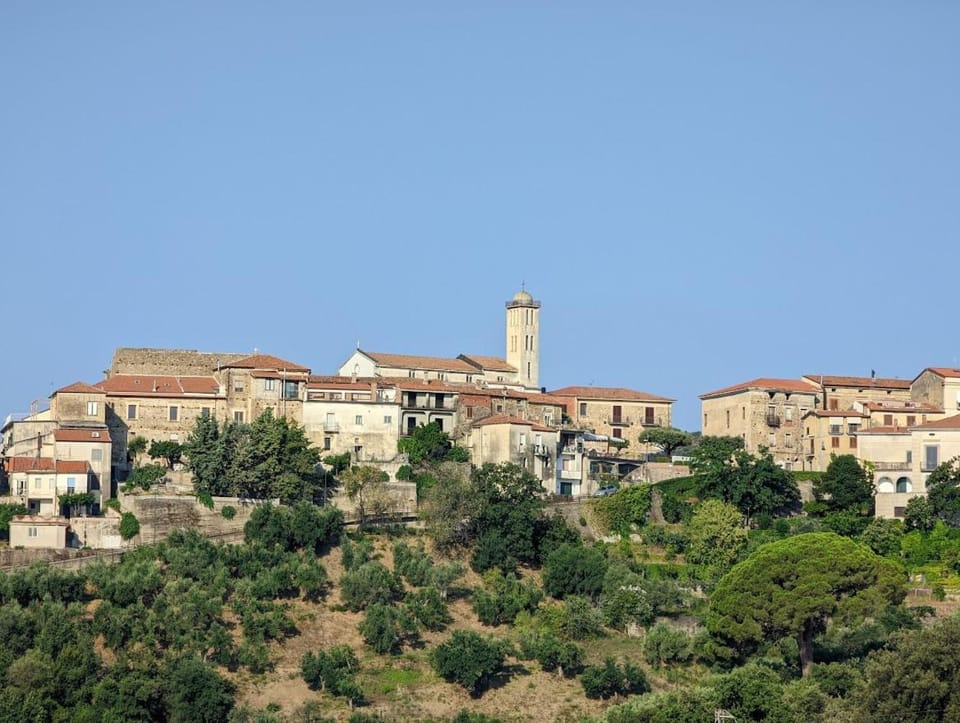 Natural landscape, City view