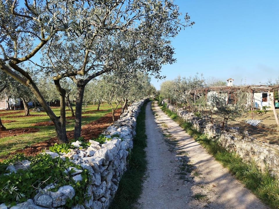 Natural landscape