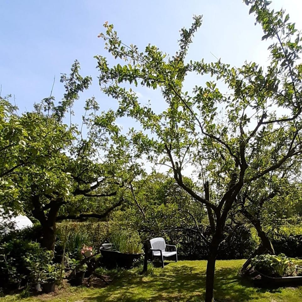 Landperle Apartment in Friesland