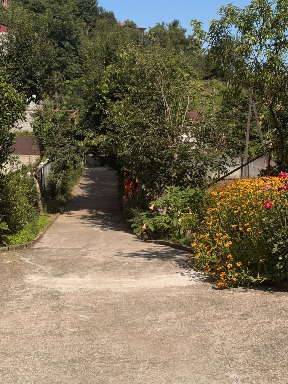 Гостевой дом у Эмзара Bed and Breakfast in Batumi