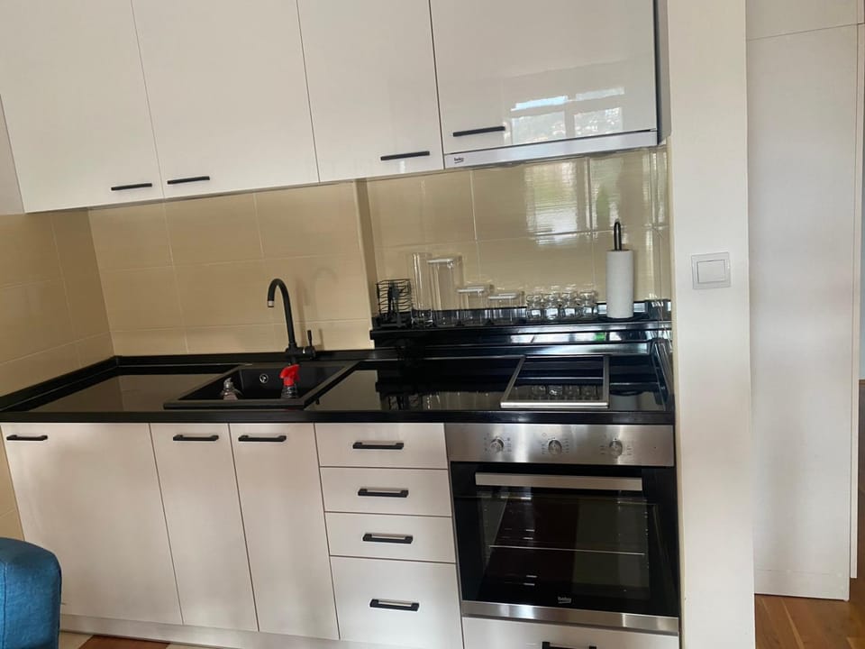 Kitchen or kitchenette, pet friendly