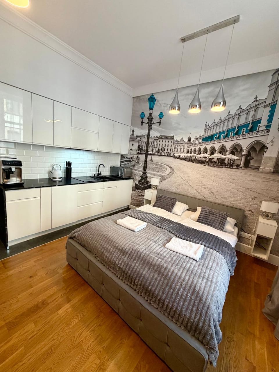 Bed, Kitchen or kitchenette, Photo of the whole room