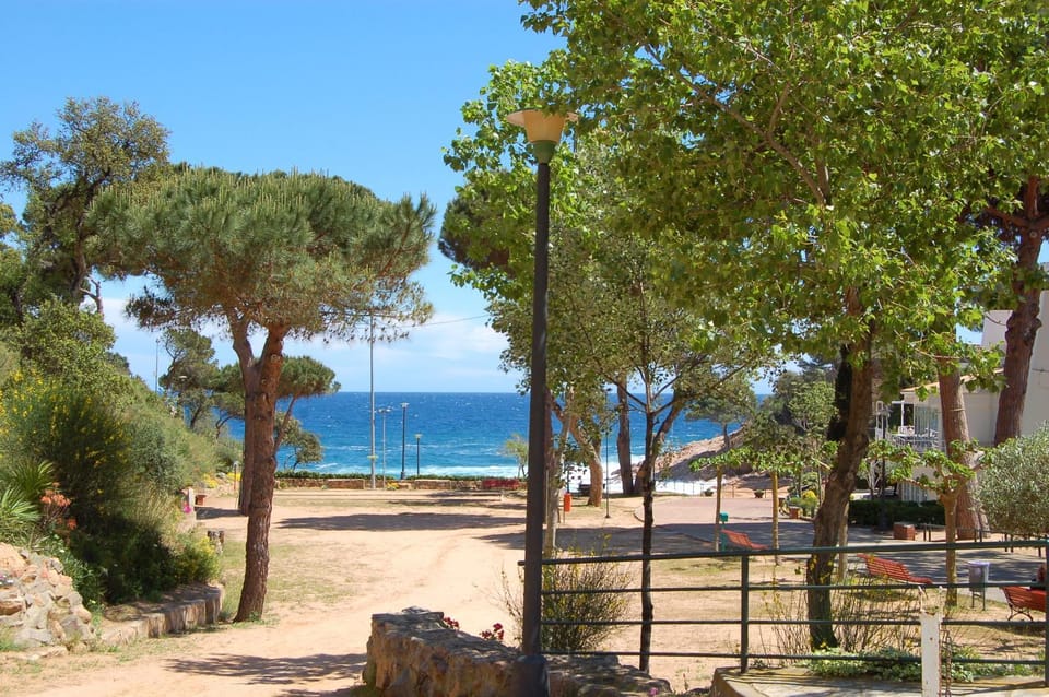 Beach, Beach