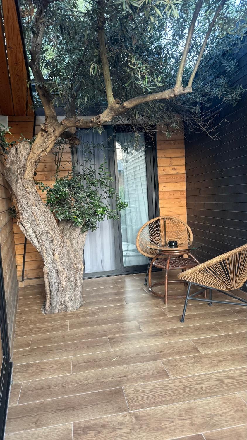 Patio, Spring, Day, Garden, Garden view