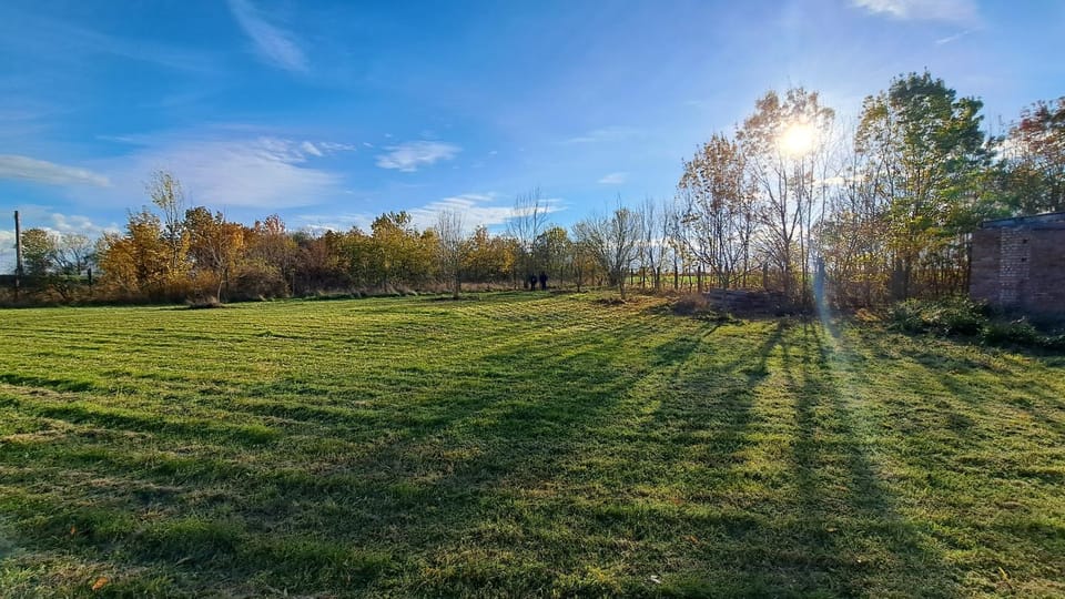 Natural landscape, Garden, Garden, Garden view