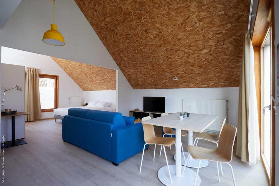 TV and multimedia, Living room, Photo of the whole room, Seating area, Dining area