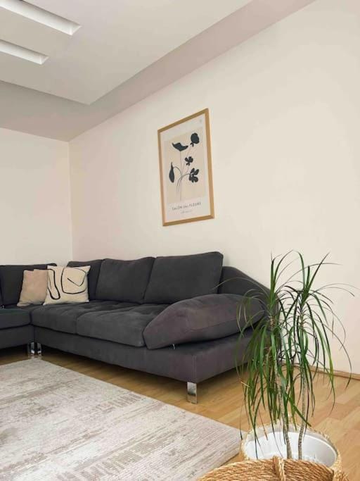 Heritage Haven in Prishtina Apartment in Serbia