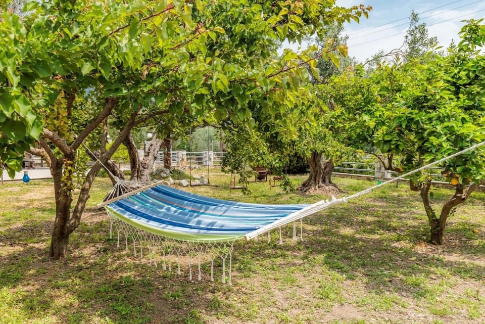 Unique Filoxenia! House in Sporades, Greece