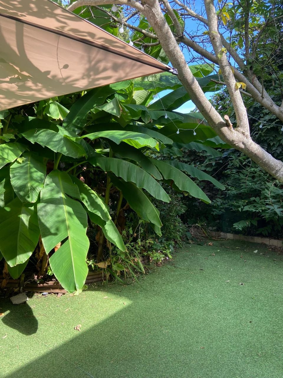 Garden, Garden view