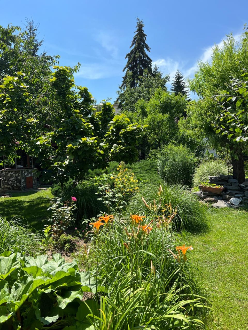 Garden, Garden view