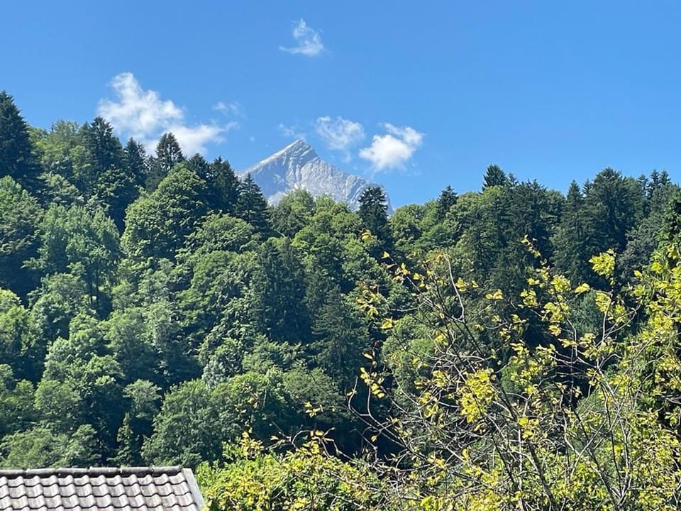 Mountain view