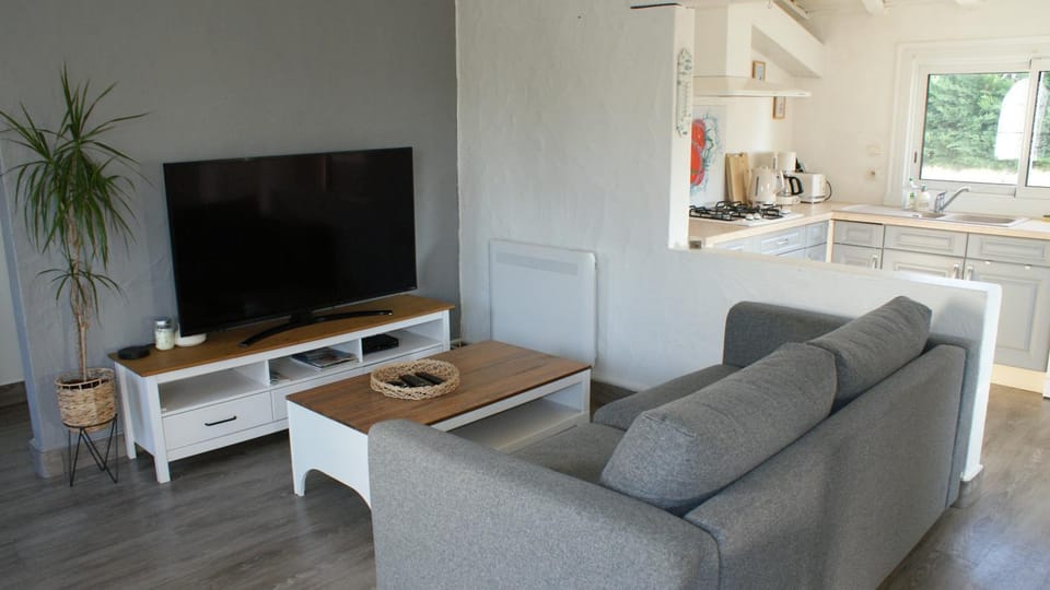 Communal lounge/ TV room, TV and multimedia