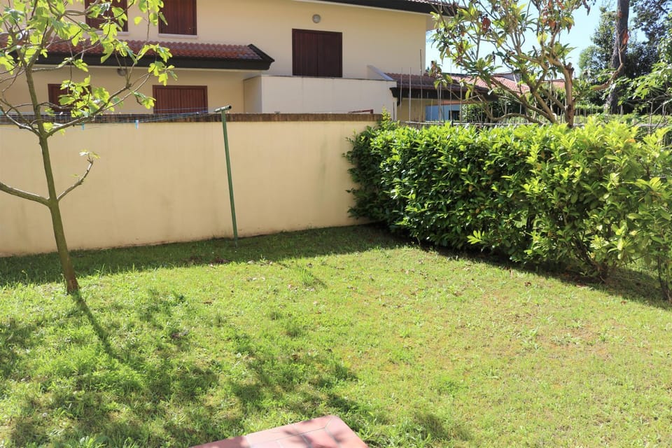 Spring, Day, Garden, Garden, Garden view
