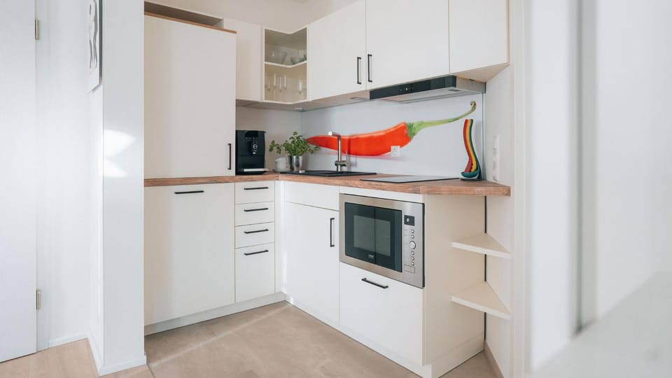 Kitchen or kitchenette, dishwasher, minibar, pet friendly, stove