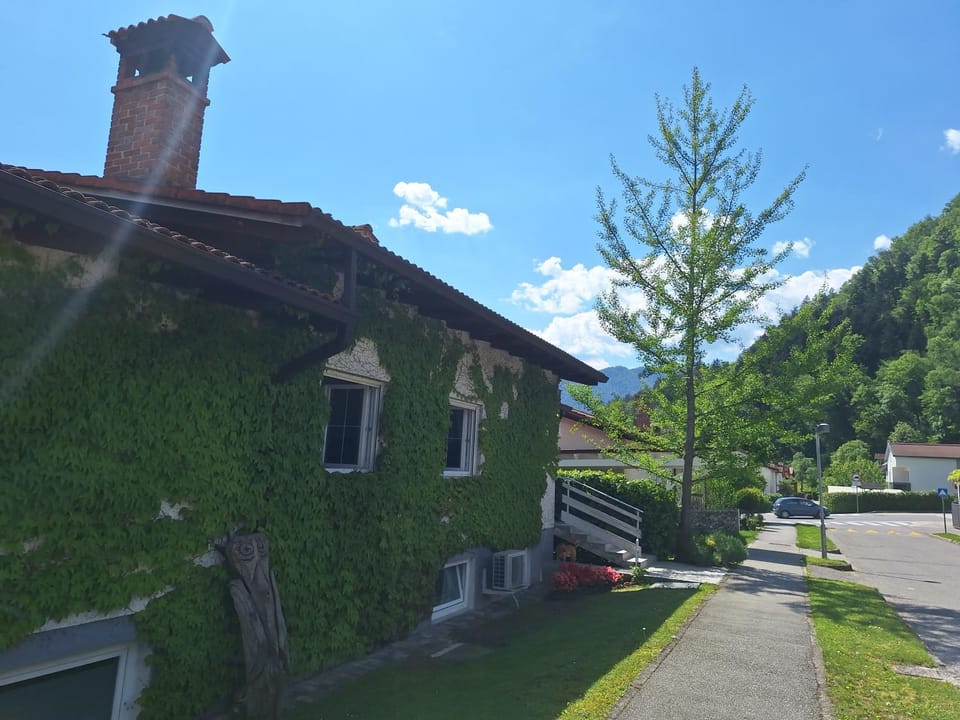 Property building, Day, Neighbourhood, Street view