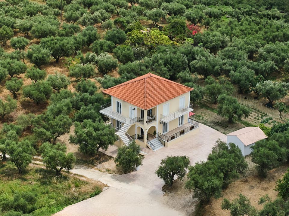 Natural landscape, Bird's eye view, Garden view