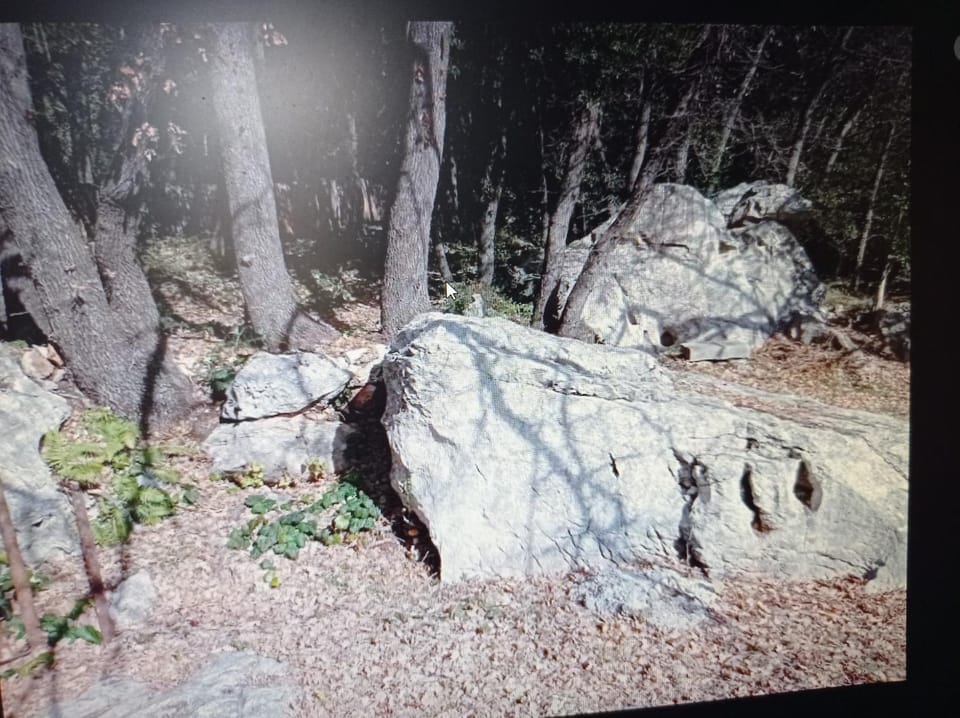 LA MAISON DE PAPOU La Vigne A NANS LES PINS 83860 House in French Riviera