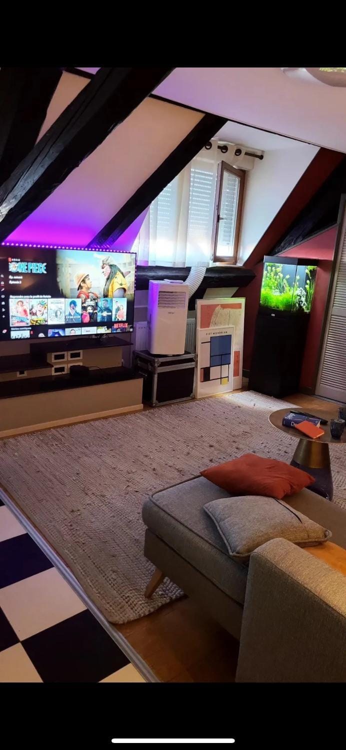 Le Cocon Alsacien, parking privé Apartment in Grand Est