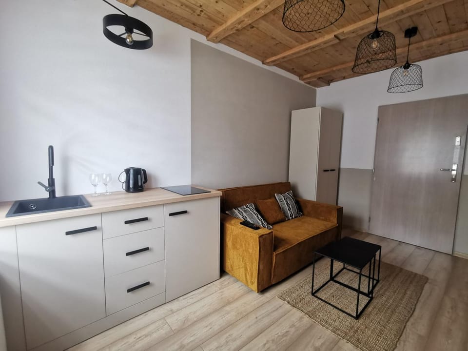 Kitchen or kitchenette, Living room, Dining area