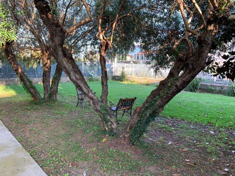 Garden, View (from property/room), Inner courtyard view