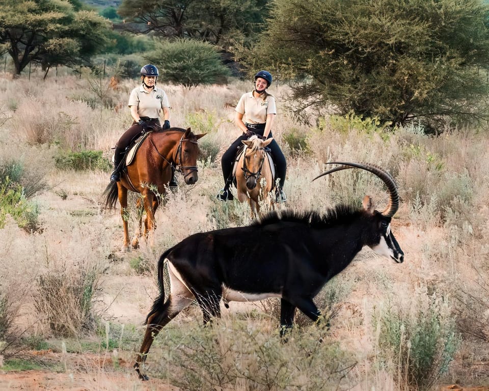 Horse-riding