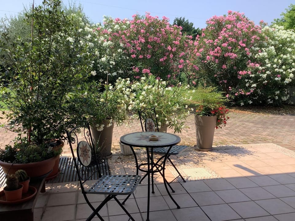 Patio, Spring, Garden, Garden view