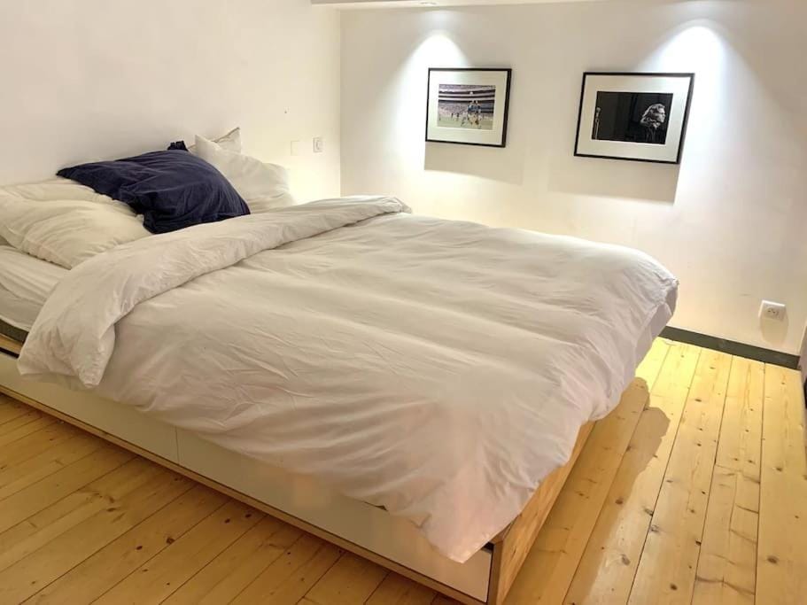 Charming apartment in the Chartrons district Apartment in Bordeaux