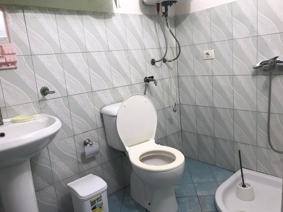 Shower, Toilet, Bathroom, bidet