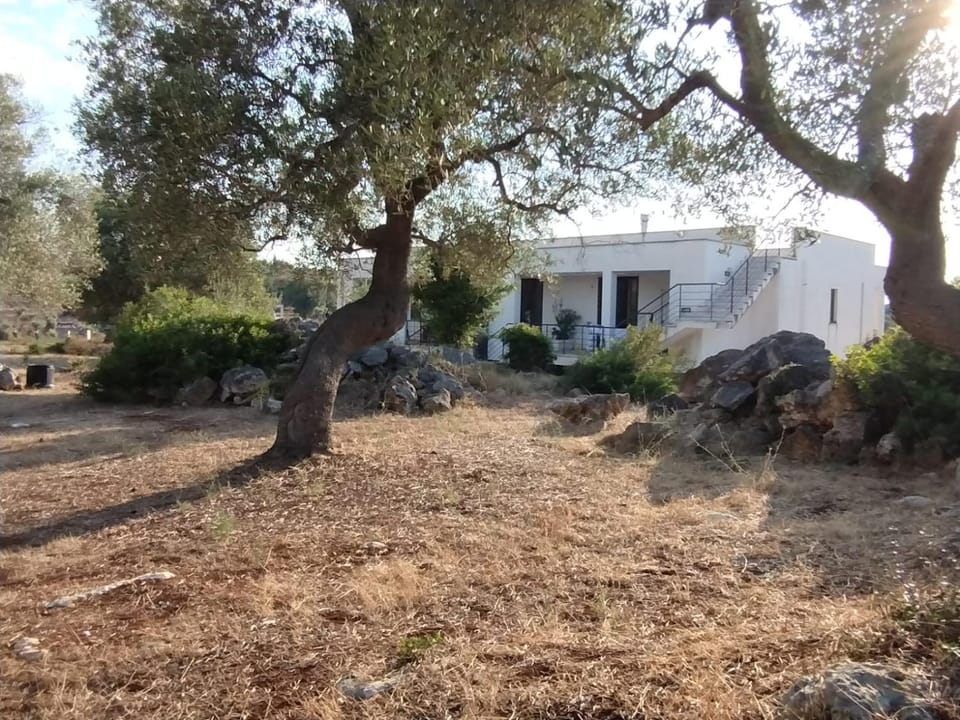 Property building, Garden view
