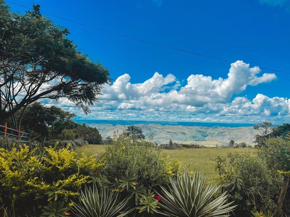 View (from property/room)