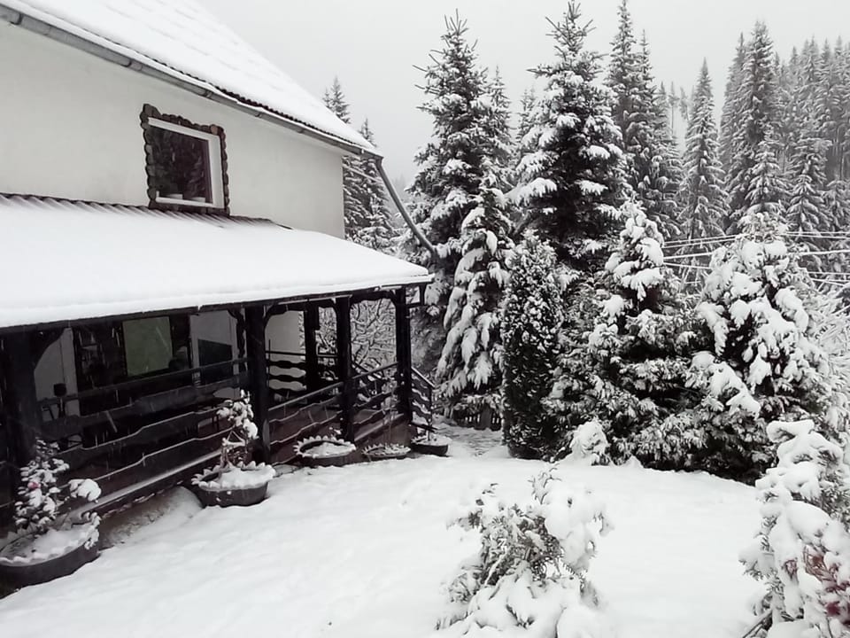 PERLA CĂLIMANILOR Bed and Breakfast in Romania