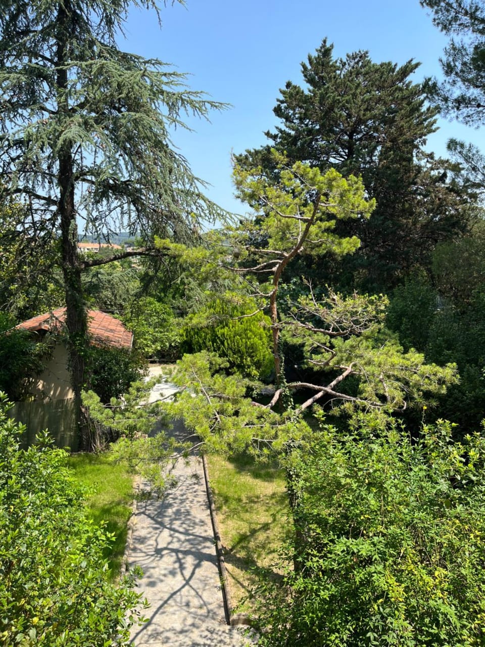 Garden, Garden view