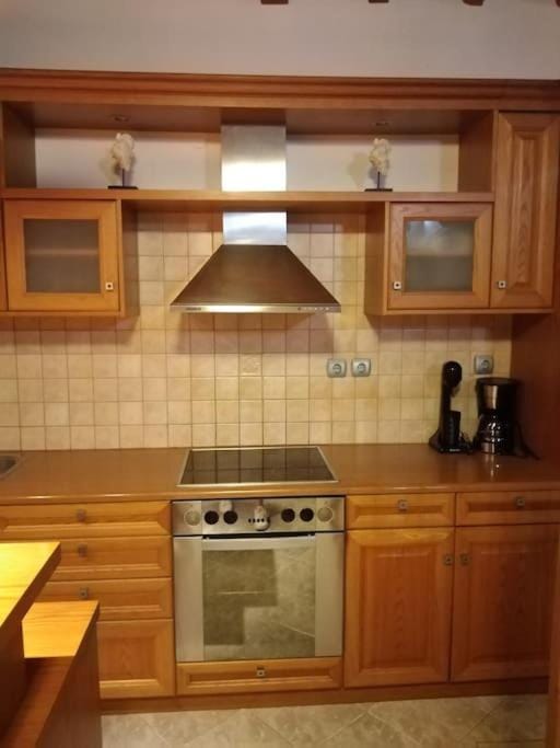 Like my house Apartment in Skiathos