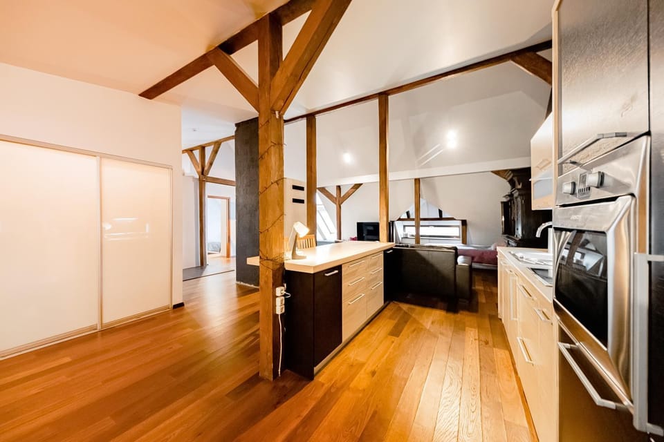 Stylish mansard in Riga Quite Center Apartment in Riga