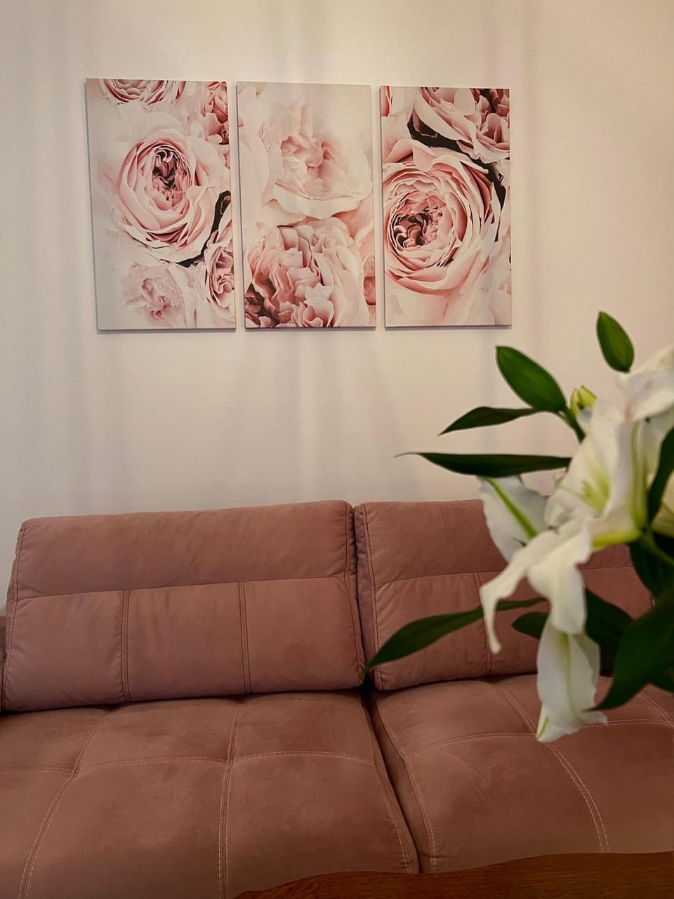 Apartman Krasota Apartment in Federation of Bosnia and Herzegovina