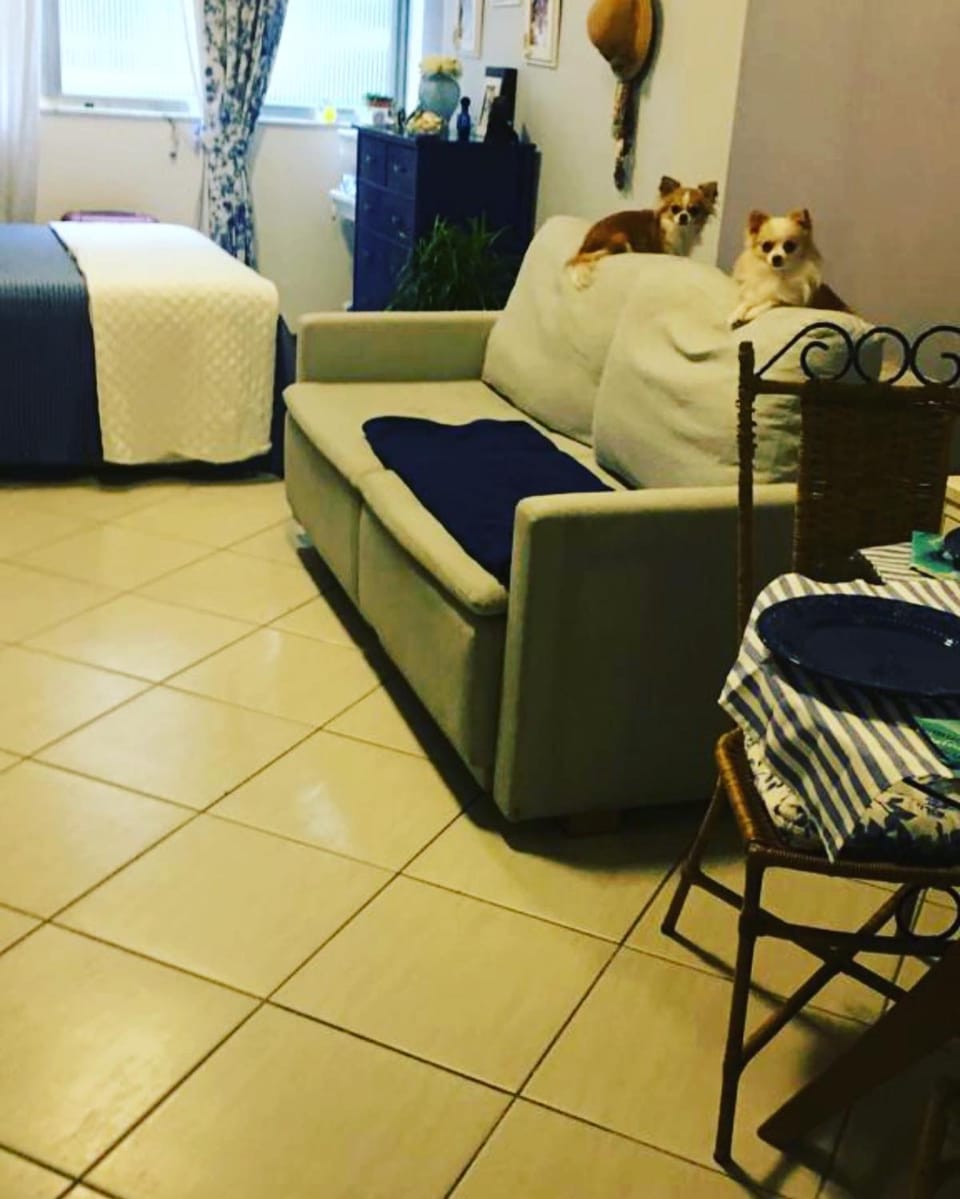 Aconchegante apartamento quadrada Praia Apartment in Rio de Janeiro