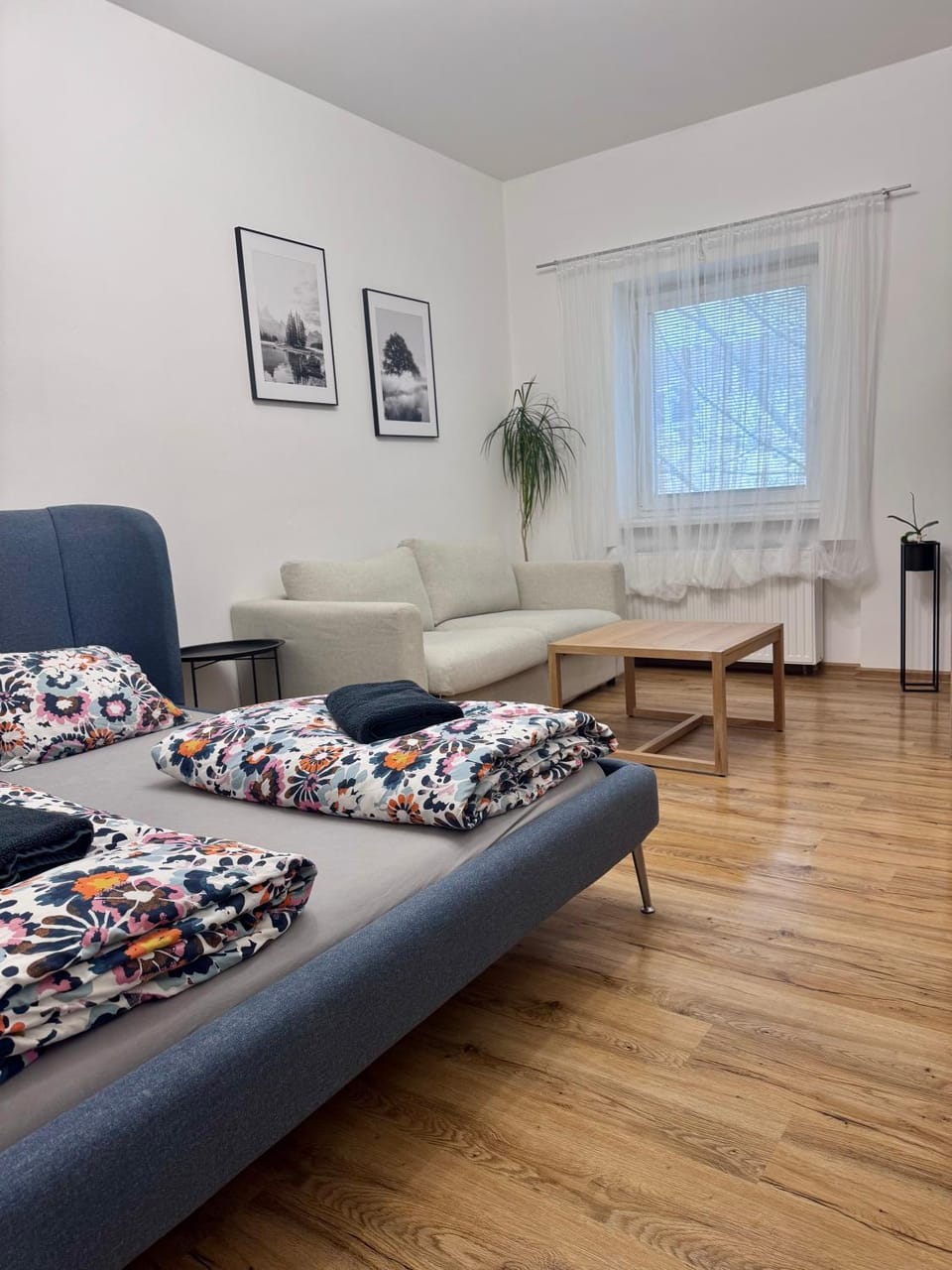 Sušilova 14 apartments IV Apartment in Czechia