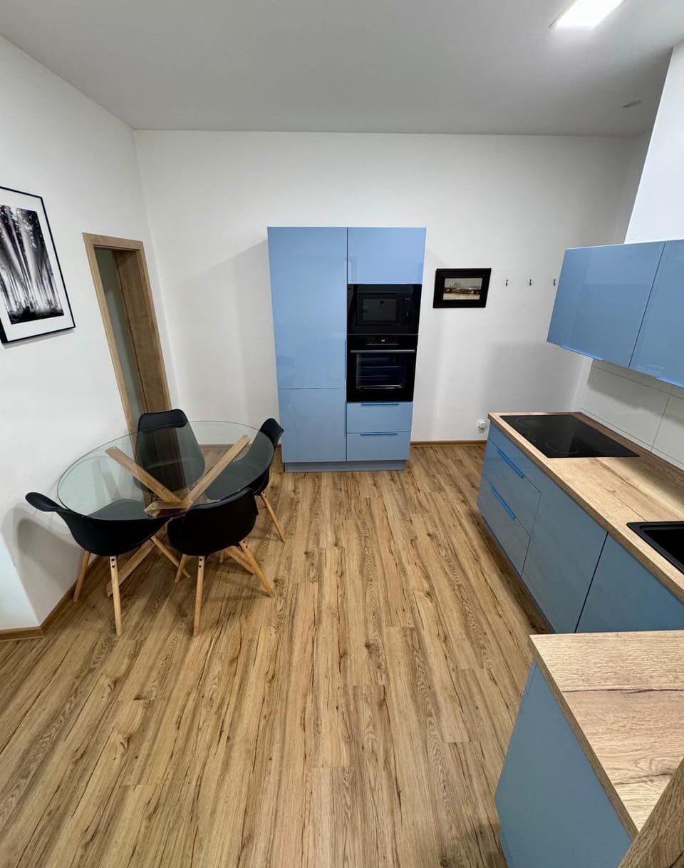 Sušilova 14 apartments IV Apartment in Czechia