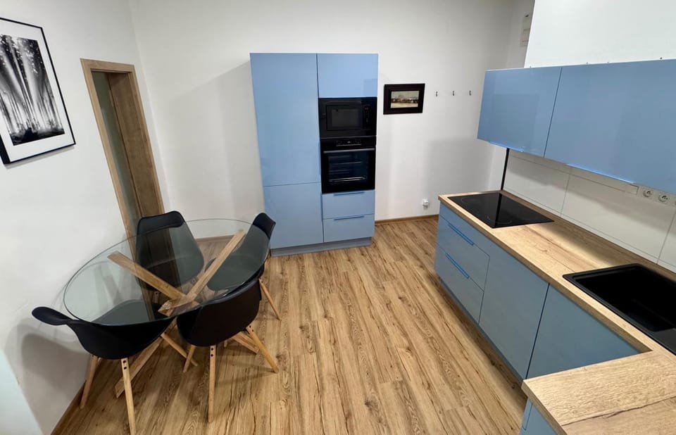 Sušilova 14 apartments IV Apartment in Czechia